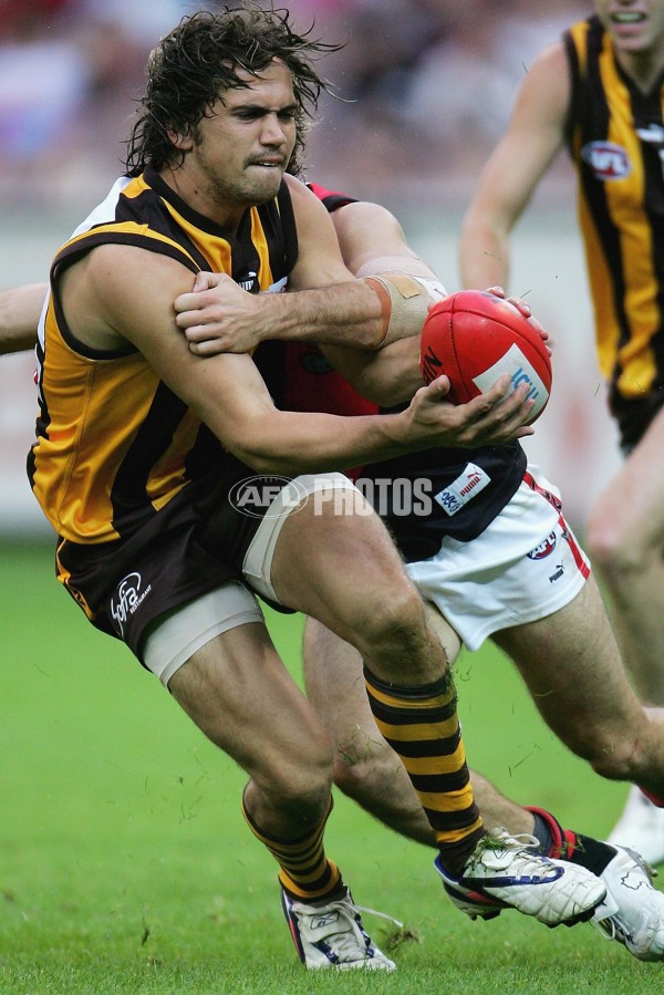 AFL 2006 Rd 5 - Hawthorn v Essendon - 191691