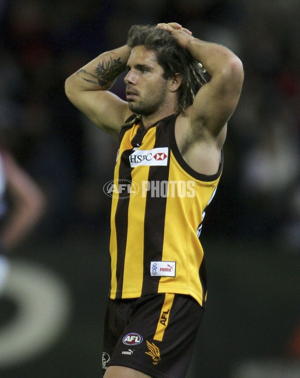 AFL 2006 Rd 8 - Hawthorn v Melbourne - 191747