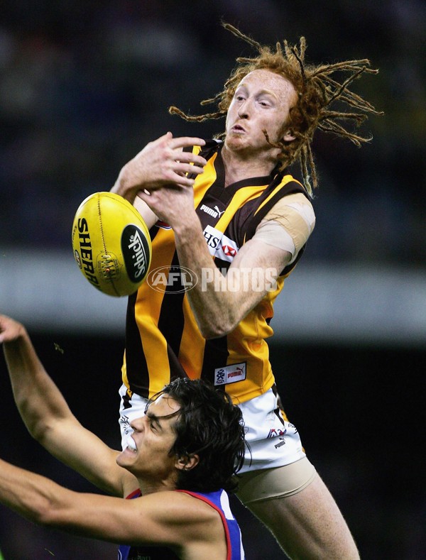 AFL 2006 Rd 10 - Western Bulldogs v Hawthorn - 191791