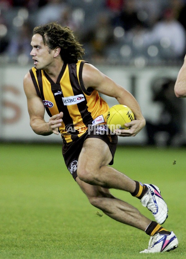 AFL 2006 Rd 9 - Hawthorn v Sydney Swans - 191783