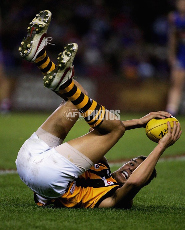 AFL 2006 Rd 10 - Western Bulldogs v Hawthorn - 191796