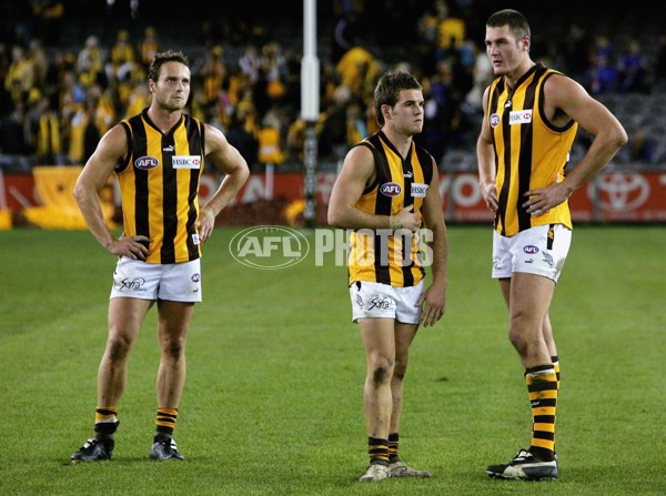 AFL 2006 Rd 10 - Western Bulldogs v Hawthorn - 191793