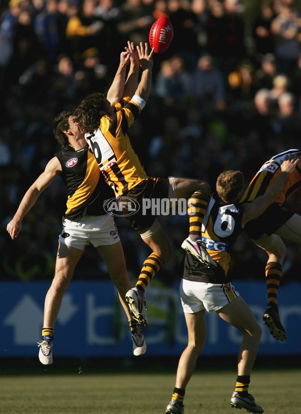 AFL 2006 Rd 12 - Hawthorn v Richmond - 191813