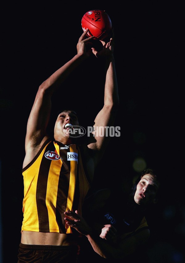 AFL 2006 Rd 12 - Hawthorn v Richmond - 191818