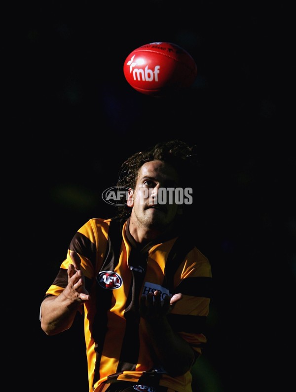 AFL 2006 Rd 12 - Hawthorn v Richmond - 191812