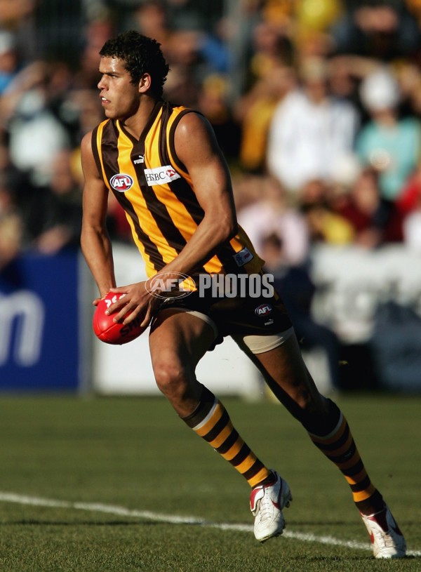 AFL 2006 Rd 12 - Hawthorn v Richmond - 191837