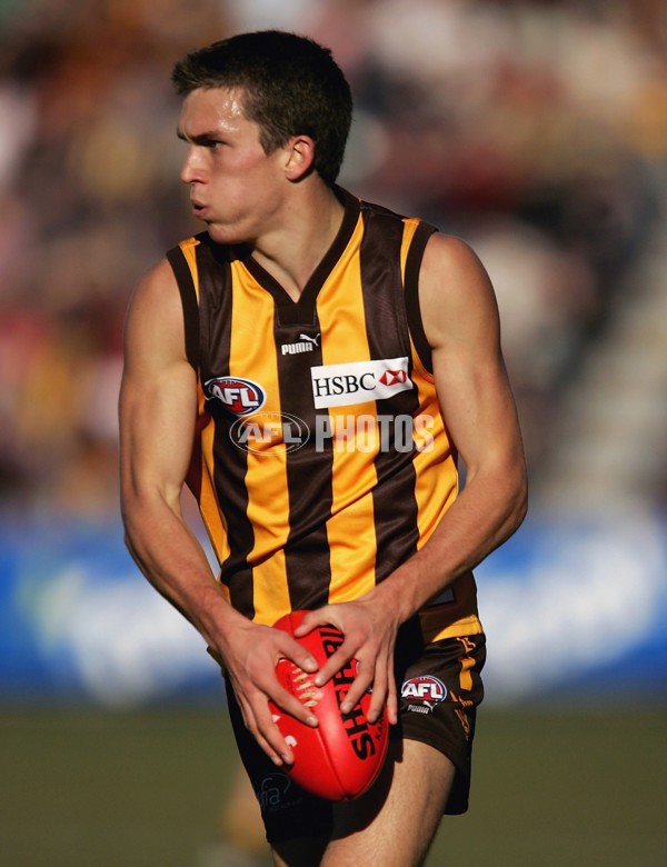 AFL 2006 Rd 12 - Hawthorn v Richmond - 191842