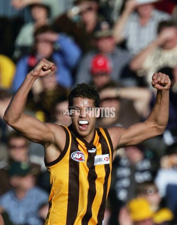 AFL 2006 Rd 12 - Hawthorn v Richmond - 191822