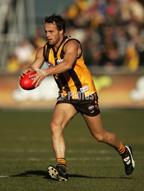 AFL 2006 Rd 12 - Hawthorn v Richmond - 191838