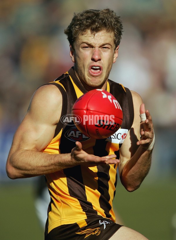 AFL 2006 Rd 12 - Hawthorn v Richmond - 191834