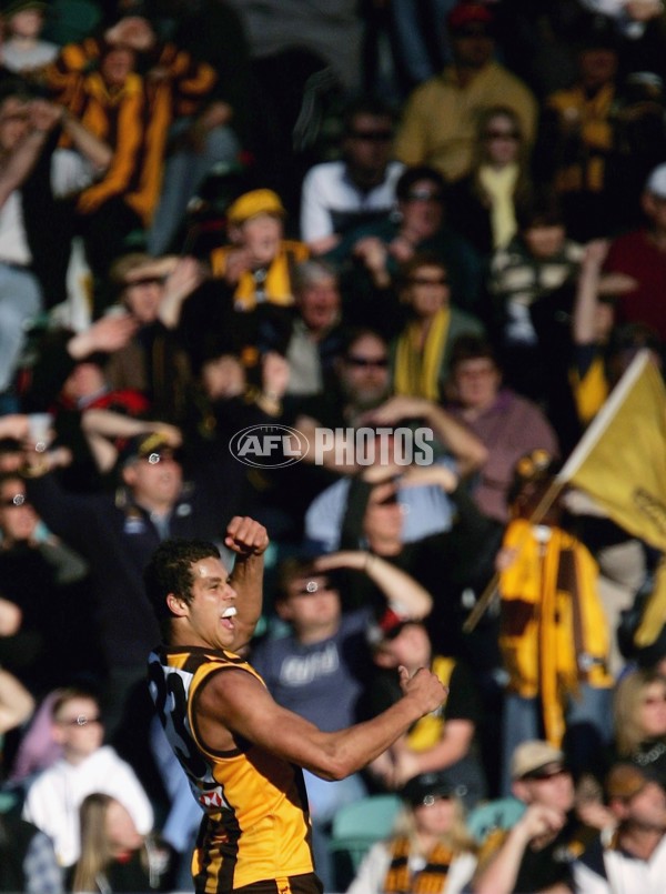 AFL 2006 Rd 12 - Hawthorn v Richmond - 191823