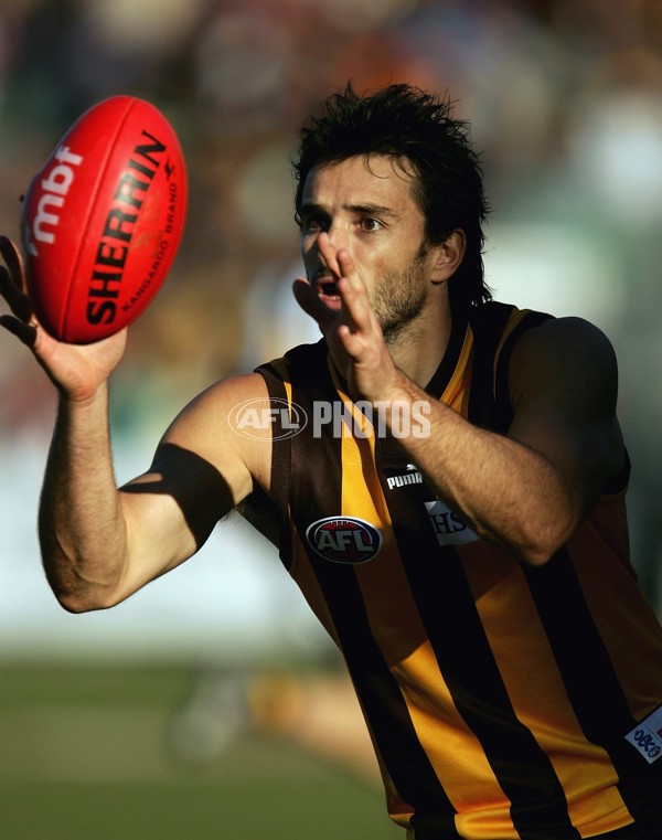 AFL 2006 Rd 12 - Hawthorn v Richmond - 191832