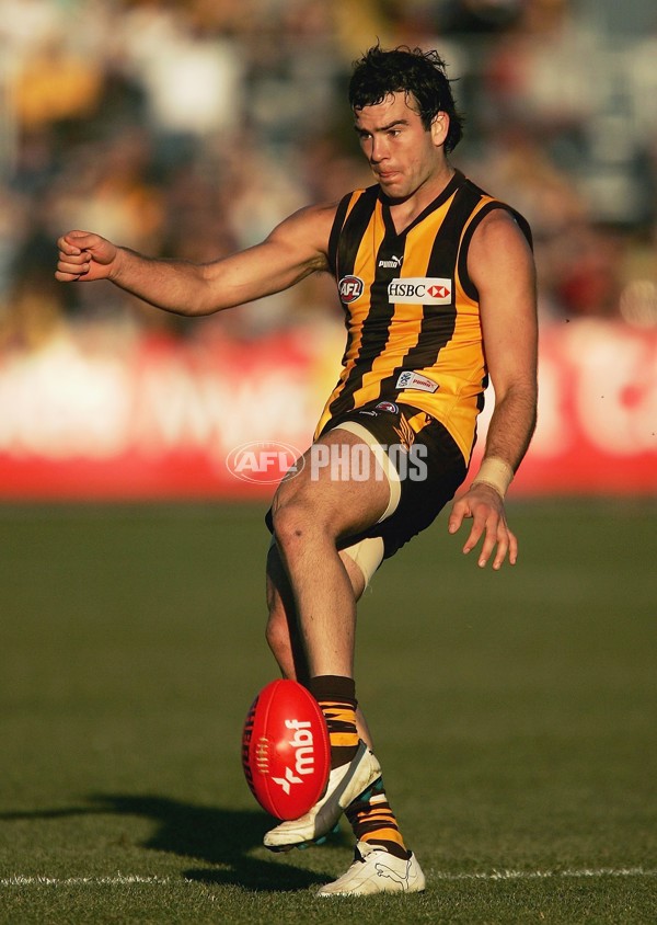 AFL 2006 Rd 12 - Hawthorn v Richmond - 191836