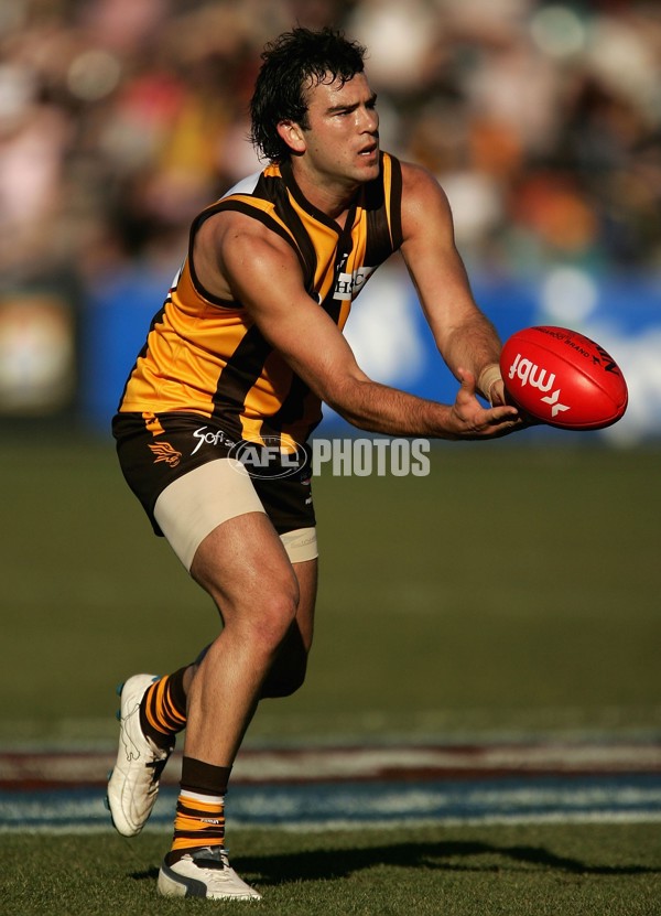 AFL 2006 Rd 12 - Hawthorn v Richmond - 191840