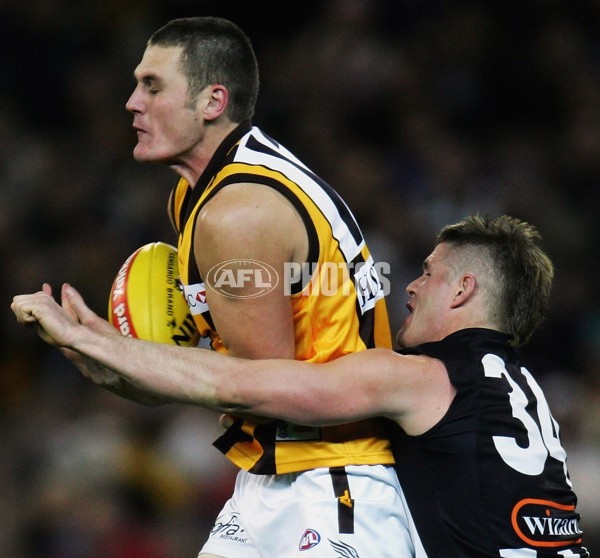 AFL 2006 Rd 17 - Collingwood v Hawthorn - 191936