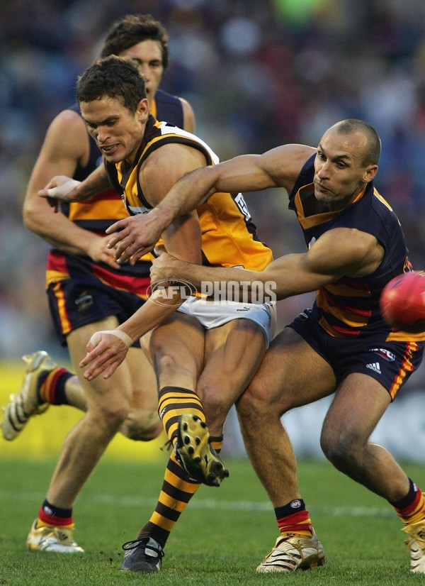 AFL 2006 Rd 15 - Adelaide v Hawthorn - 191903
