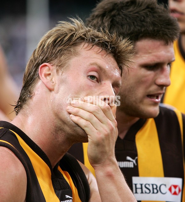 AFL 2006 Rd 18 - Fremantle v Hawthorn - 191982