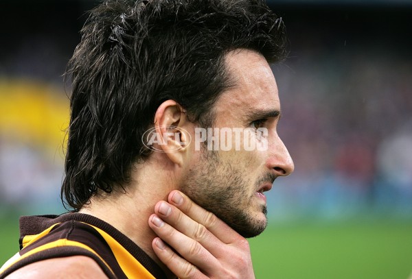 AFL 2006 Rd 18 - Fremantle v Hawthorn - 191983
