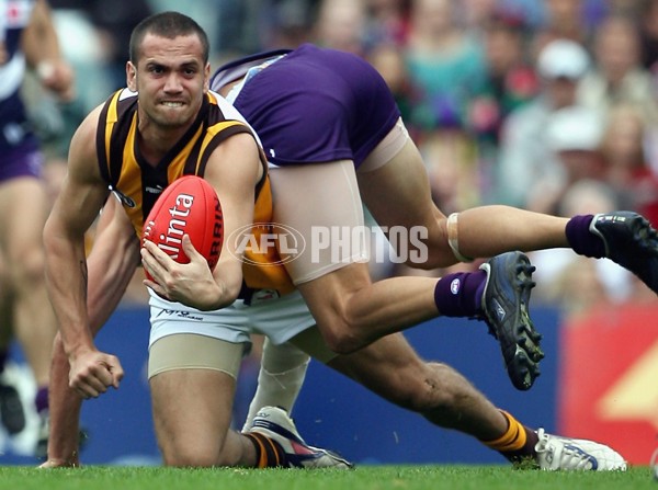 AFL 2006 Rd 18 - Fremantle v Hawthorn - 191977