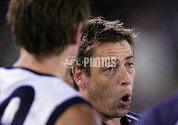 AFL 2006 Rd 16 - Geelong v Western Bulldogs - 191999