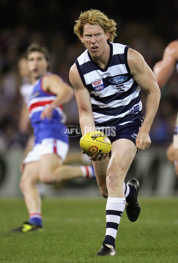 AFL 2006 Rd 16 - Geelong v Western Bulldogs - 192008