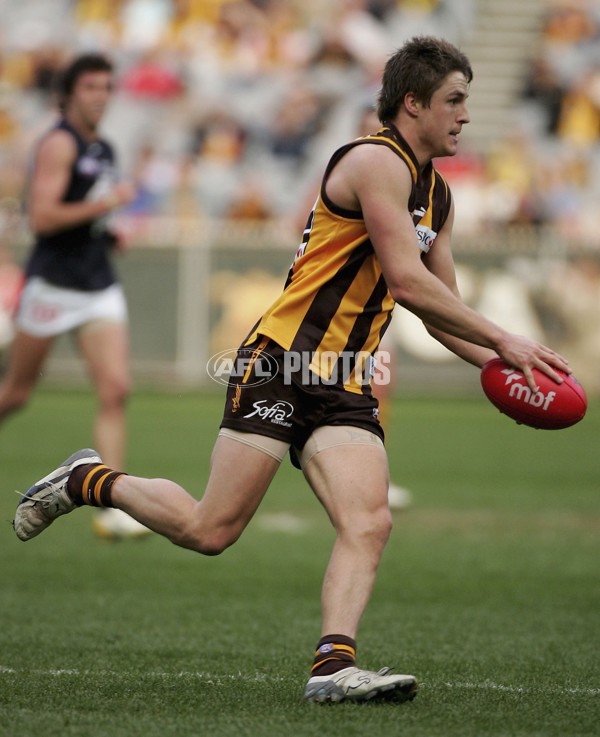 AFL 2006 Rd 19 - Hawthorn v Carlton - 192036