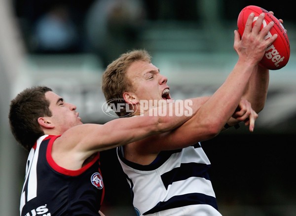 AFL 2006 Rd 21 - Geelong v Melbourne - 192084
