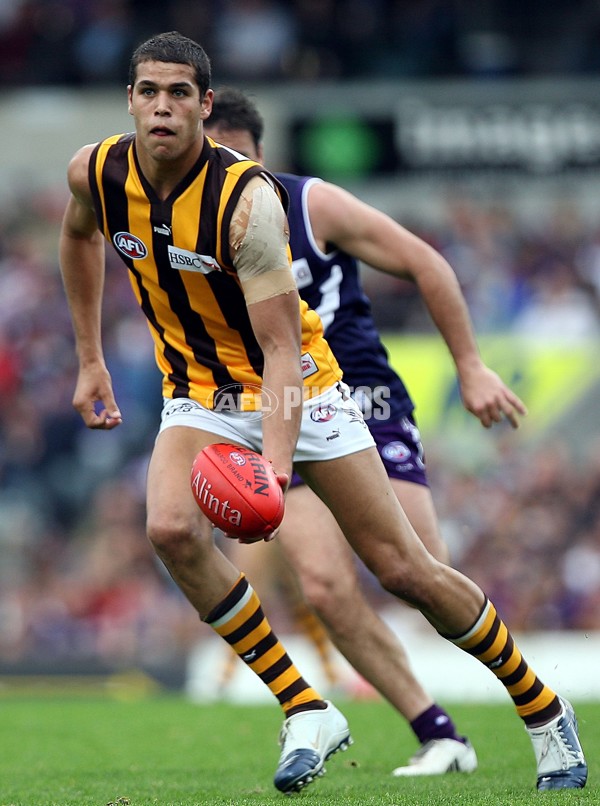 AFL 2006 Rd 18 - Fremantle v Hawthorn - 191991
