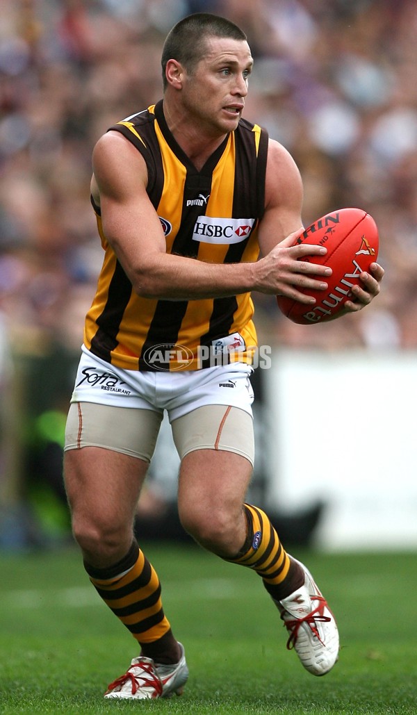 AFL 2006 Rd 18 - Fremantle v Hawthorn - 191998