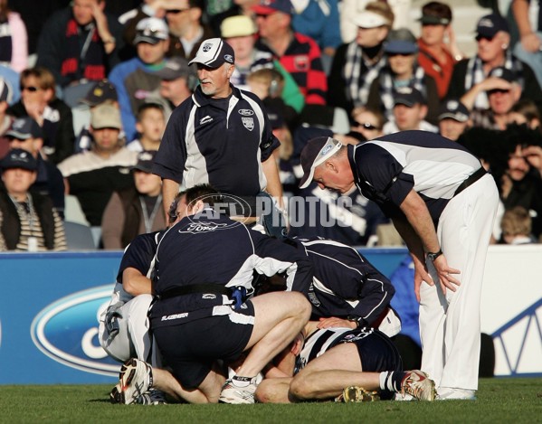 AFL 2006 Rd 21 - Geelong v Melbourne - 192102