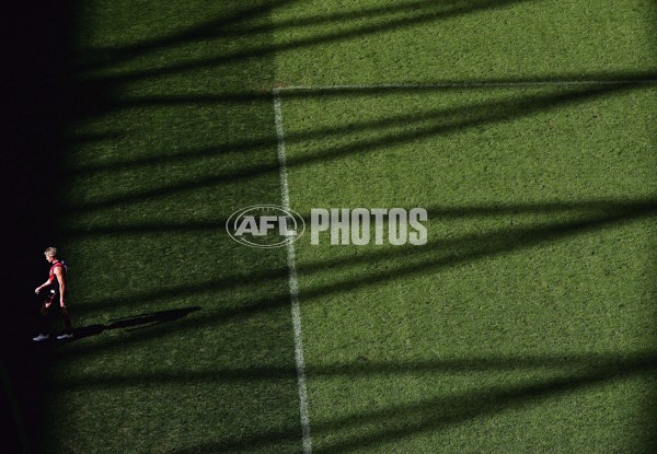 AFL 2006 Rd 3 - Essendon v Western Bulldogs - 196917