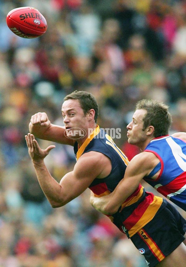 AFL 2006 Rd 5 - Adelaide Crows v Western Bulldogs - 196934