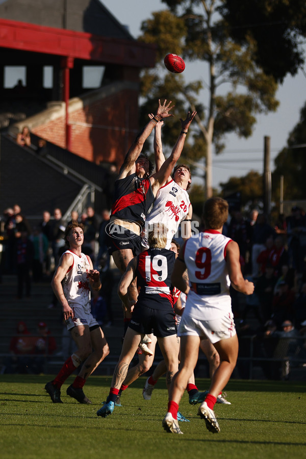 VFL 2023 Round 08 - Coburg v Northern Bullants - A-36043406