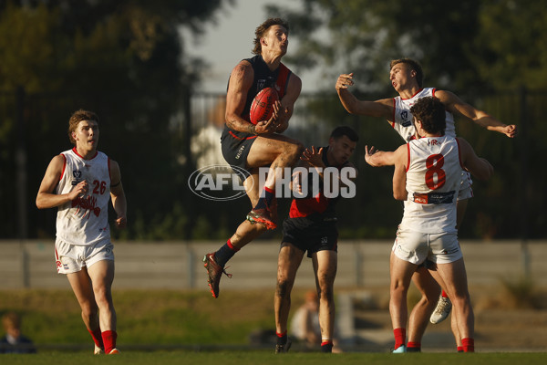 VFL 2023 Round 08 - Coburg v Northern Bullants - A-36066227