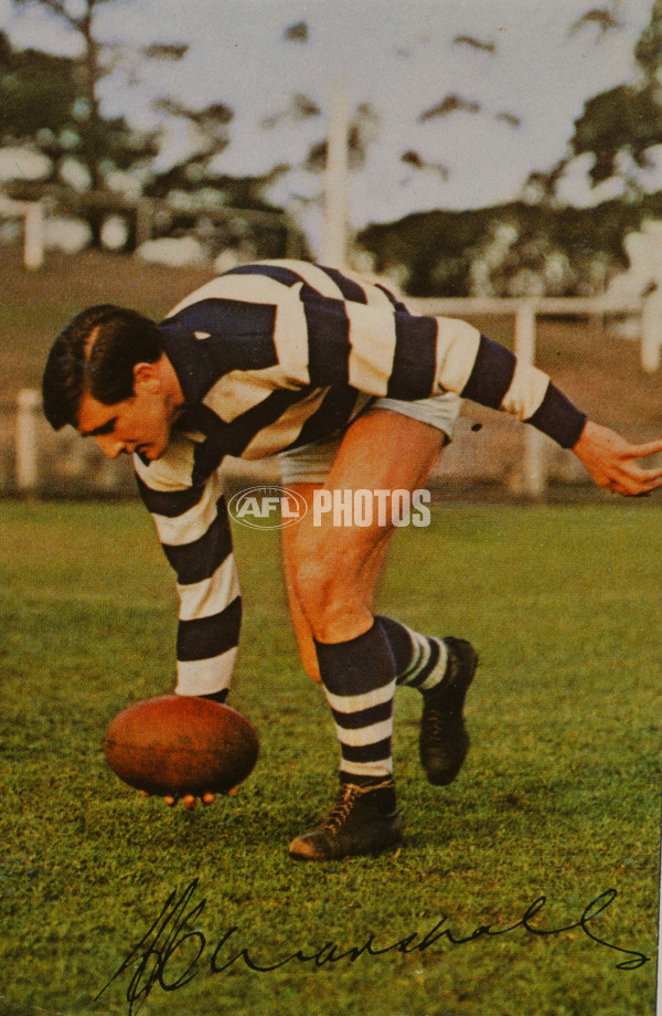 AFL Historical - Geelong Cats - 22695