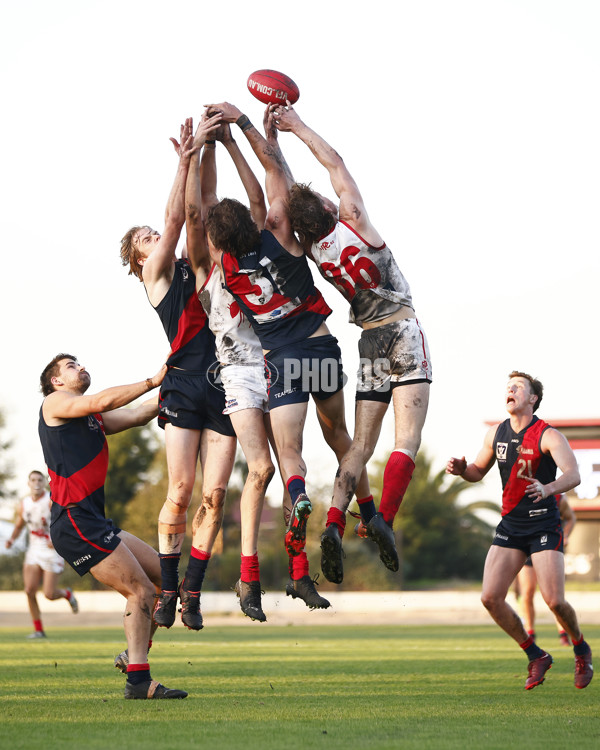 VFL 2023 Round 08 - Coburg v Northern Bullants - A-36153939