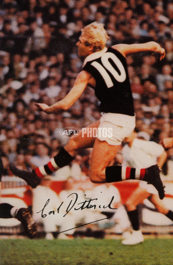 Historical AFL - St Kilda Saints - 22236