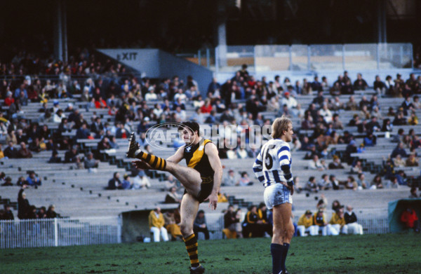 AFL Historical - Richmond Tigers - 22551