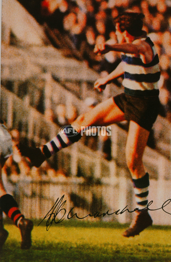 AFL Historical - Geelong Cats - 22696