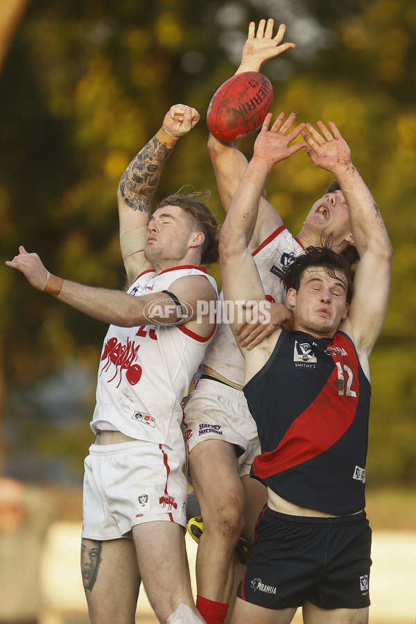 VFL 2023 Round 08 - Coburg v Northern Bullants - A-36157503