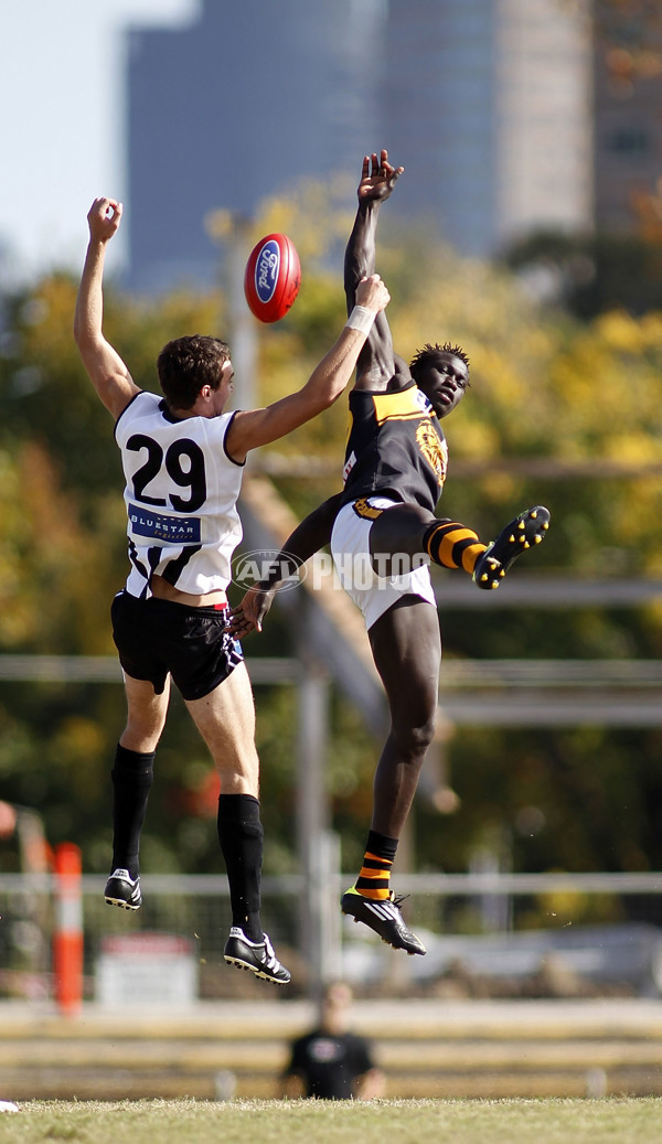 VFL 2011 Rd 03 - Collingwood v Werribee Tigers - 227628