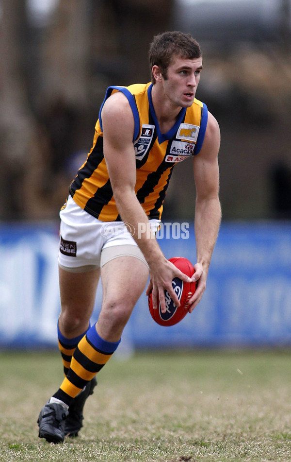 VFL 2011 Rd 06 - Williamstown v Sandringham - 229580