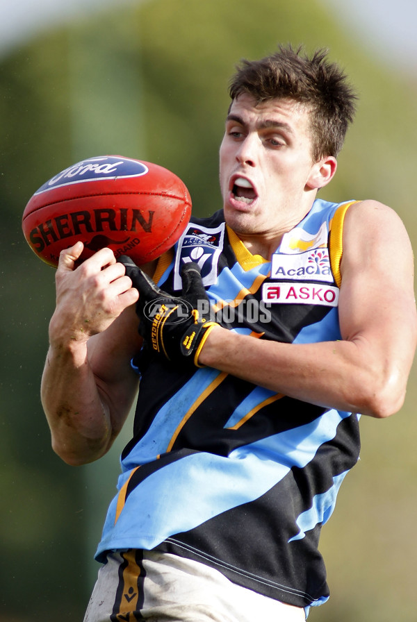 VFL 2011 Rd 07 - Box Hill Hawks v Sandringham - 230316