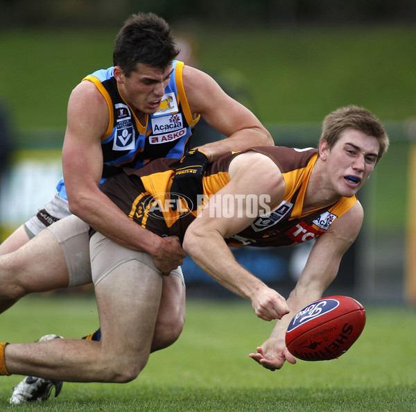 VFL 2011 Rd 07 - Box Hill Hawks v Sandringham - 230311