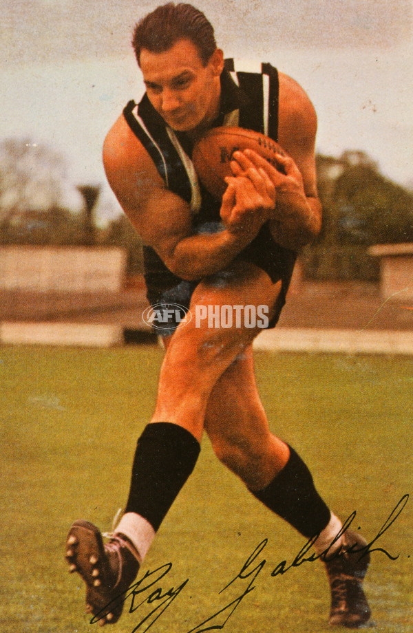 AFL Historical - Collingwood Magpies - 28469