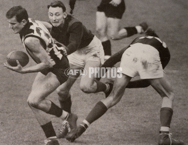 AFL Historical - Collingwood Magpies - 28557