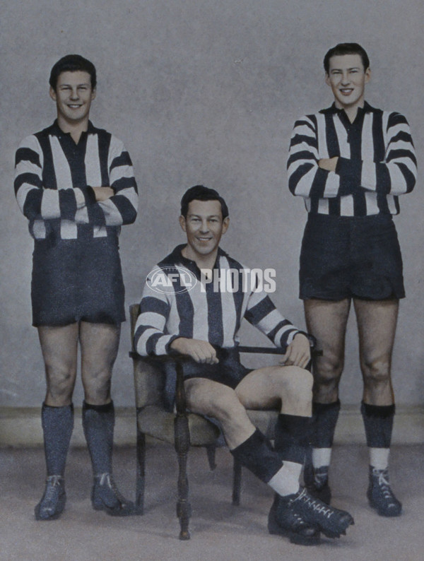 AFL Historical - Collingwood Magpies - 28599