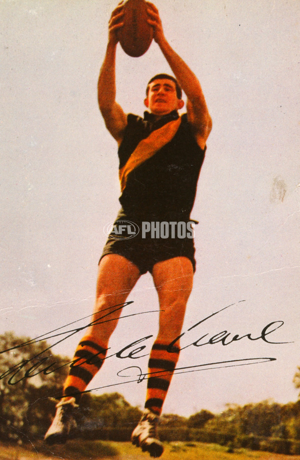 AFL Historical - Richmond Tigers - 29139