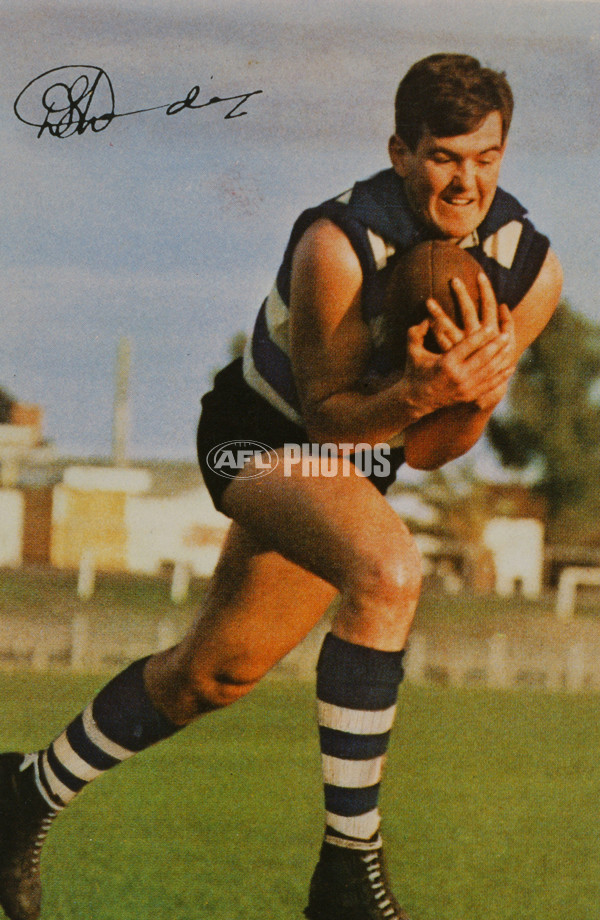 AFL Historical - Geelong Cats - 29168