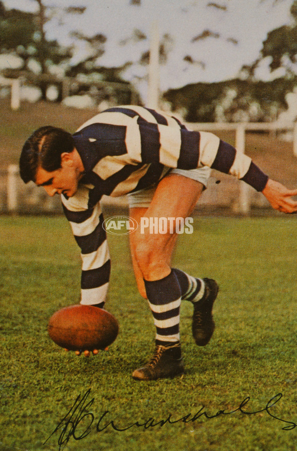 AFL Historical - Geelong Cats - 29399